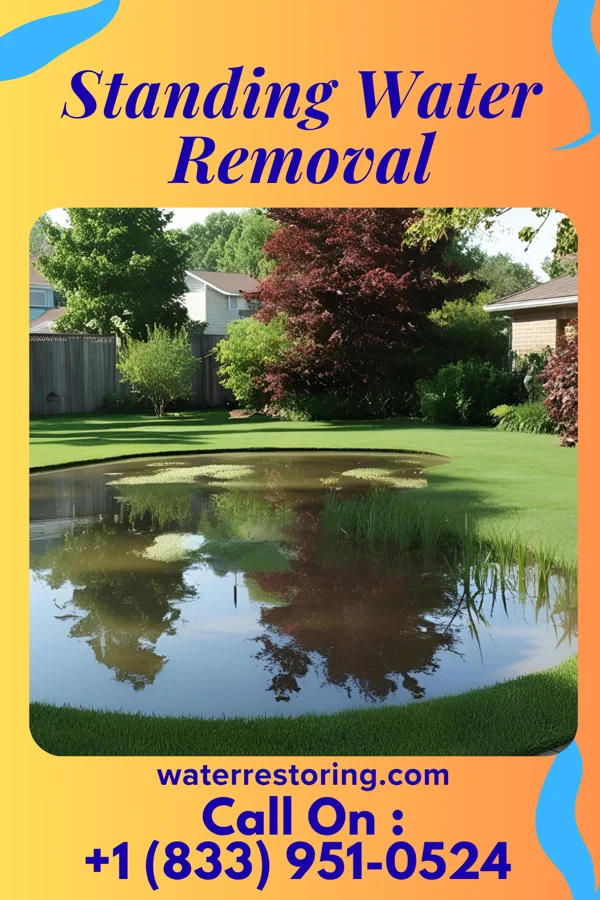 Standing Water Removal in Middleton, TN